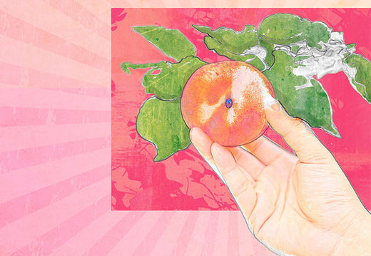 Answer the Call of Booty: Amazing Anal Sex Toys!