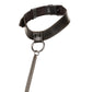 Euphoria Chain Collar & Leash XL