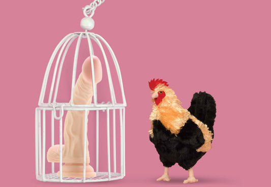 Male Chastity Devices & Cock Cages