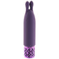 Royal Gems Twinkle Bullet Vibe in Purple