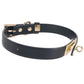 Fetish & Fashion Sadie Collar