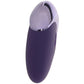 Satisfyer Purple Pleasure Lay-On Vibrator