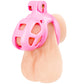 Blueline Small Pink Humiliation Prisoner Cock Cage