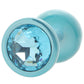 Rear Assets Medium Metal Butt Plug in Teal