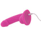 Colours Curve 6 Inch Vibe in Pink