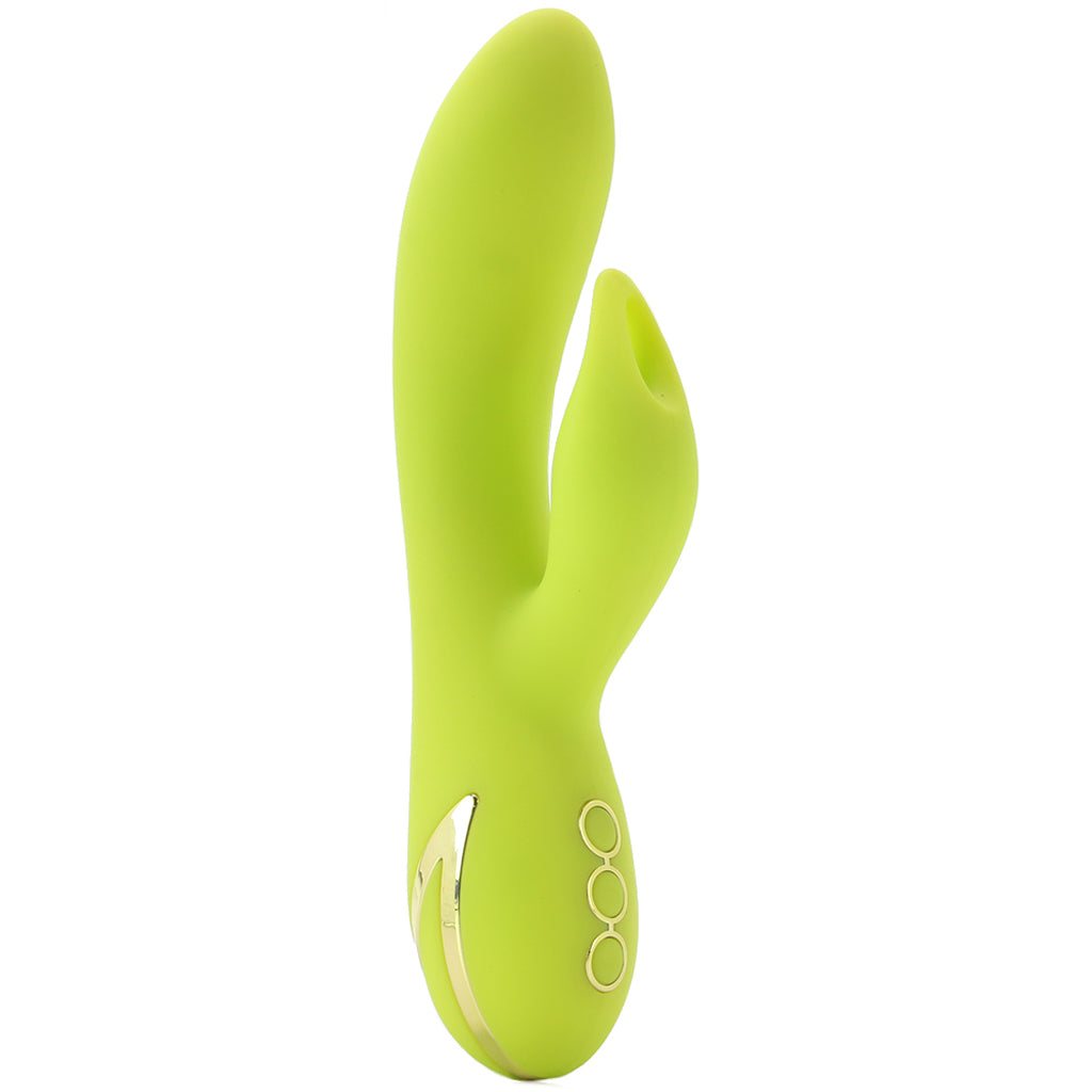 California Dreaming Venice Vixen Vibe