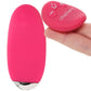 PinkCherry Remote Control Panty Vibe in Pink