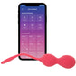 Satisfyer App Control Love Birds 2 Kegel Balls