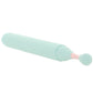 Sage Oscillating Vibe with Attachments