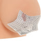 Nipple Couture Silver Sequin Star Covers