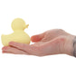 Play With Me Splash Ducky Vibe