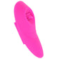 Lock-N-Play Remote Flicker Panty Teaser Vibe