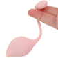 Loveline Pelvifit Stem Kegel Kit