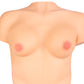 Signature Dolls Transgirls Lena Moon Torso