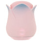 Blush Kissing Rose Vibe