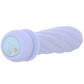 Symba Fiercely Powerful Swirl Bullet Vibe in Purple