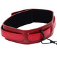 Ex's & Oh's Collar & Leash