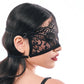 S&M Veiled Vision Lace Blindfold