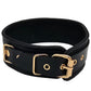 Leather Collar