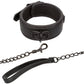 Nocturnal Collection Collar & Leash