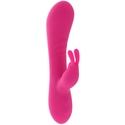 Robust Rabbit Rabbit Vibe