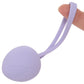 Loveline Pelvifit Berry Kegel Kit