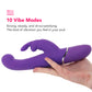 PinkCherry G-Spot Stroker Rabbit Vibe in Purple