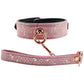 Lockable Leather Collar and Leash
