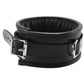 Padded Leather Collar in Black