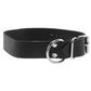 Comfort Fit 1 Inch Leather Collar