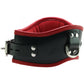Leather Posture Collar with 3 D-Rings