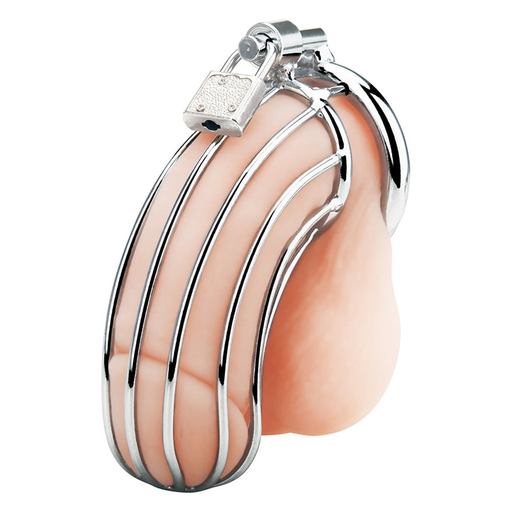 Blue Line Prisoner Cock Cage in Silver – PinkCherry Canada