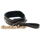 Lockable Lined Collar and Leash