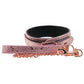 Lockable Leather Collar and Leash