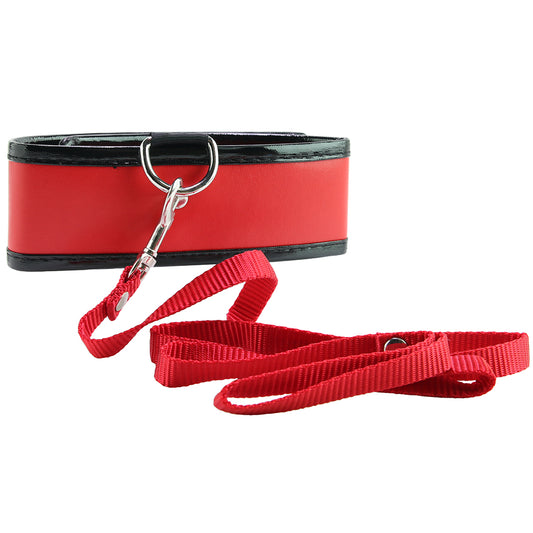 Red Leash and Collar