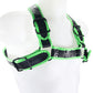 Ouch! Glow in the Dark Buckle Bulldog Harness in S/M