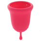 Self + JimmyJane Menstrual Cup Set