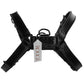 Chest Harness with Double D Ring
