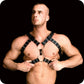 Andres Masculine Masterpiece Upper Body Harness