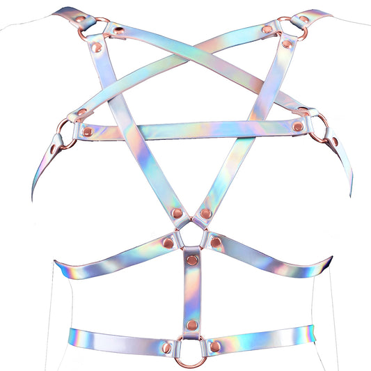 Cosmo Risqué Harness in L/XL