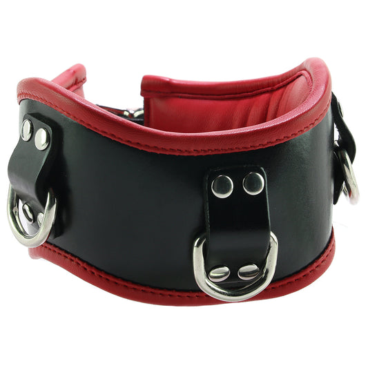 Leather Posture Collar with 3 D-Rings